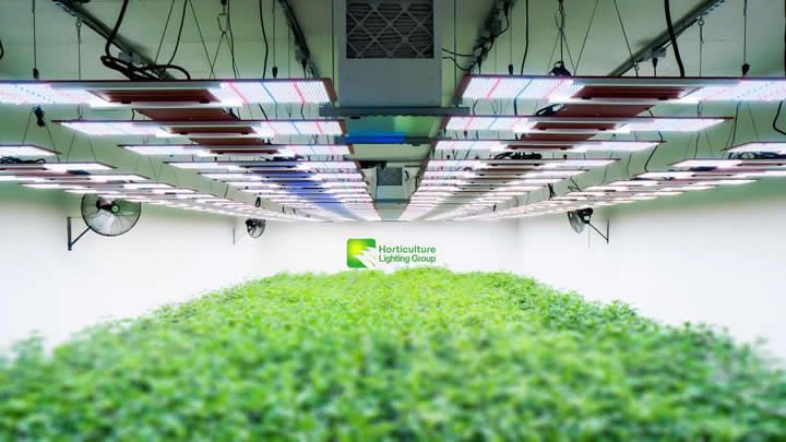Having Lost $500,000 to SAP, Grow Lamp Manufacturer Turns to MRPeasy