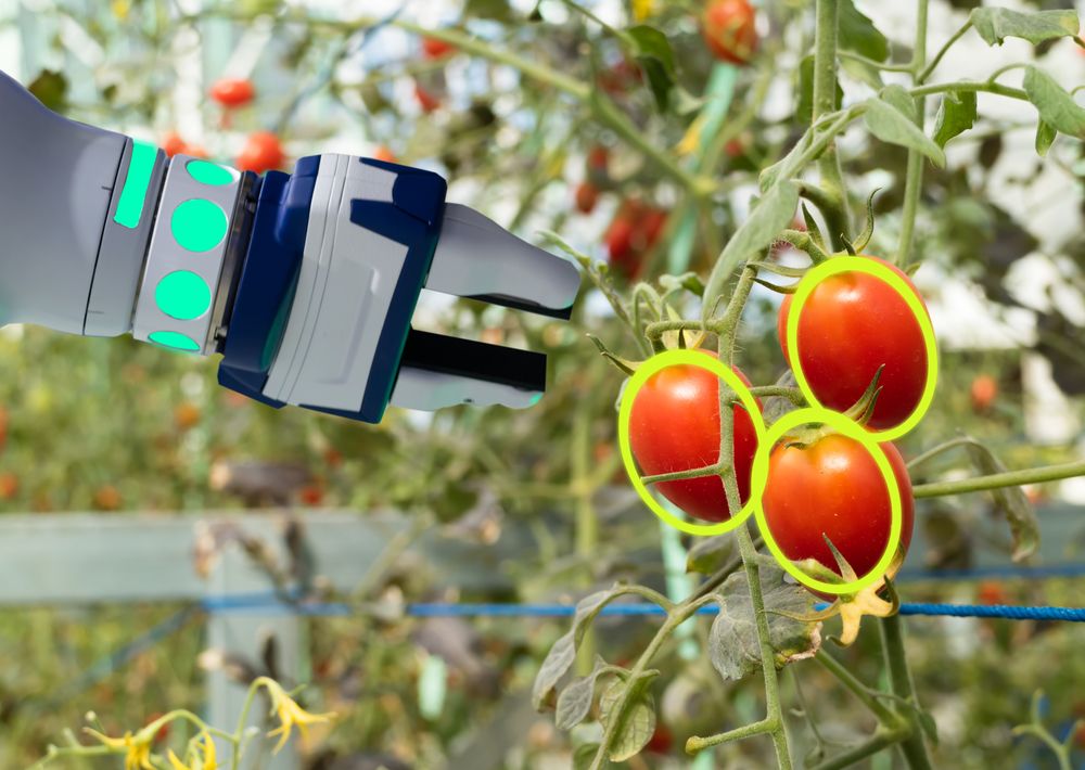 How AI Is Revolutionizing Agriculture for a Sustainable Future