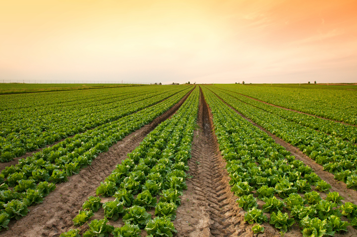 Southern and Central Africa Regional Innovation Hub Announces Its Second Call for Innovations - Water and Energy for Food Grand Challenge