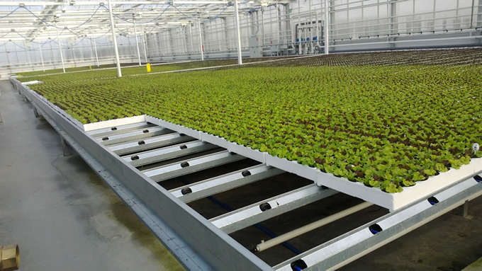Green Automation Is Bringing Automation And Efficiency To New