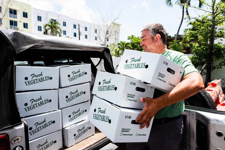 Hammock-Greens-Packaging-Stacked.jpg