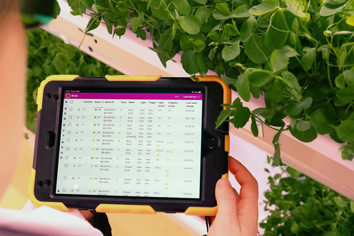 Innovate UK backs collaborative project linking AI with automation & control  to improve indoor farming sustainability | AgriTechTomorrow