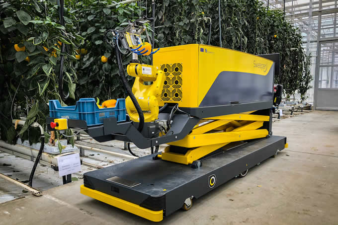 Sweet pepper harvesting robot new arrivals