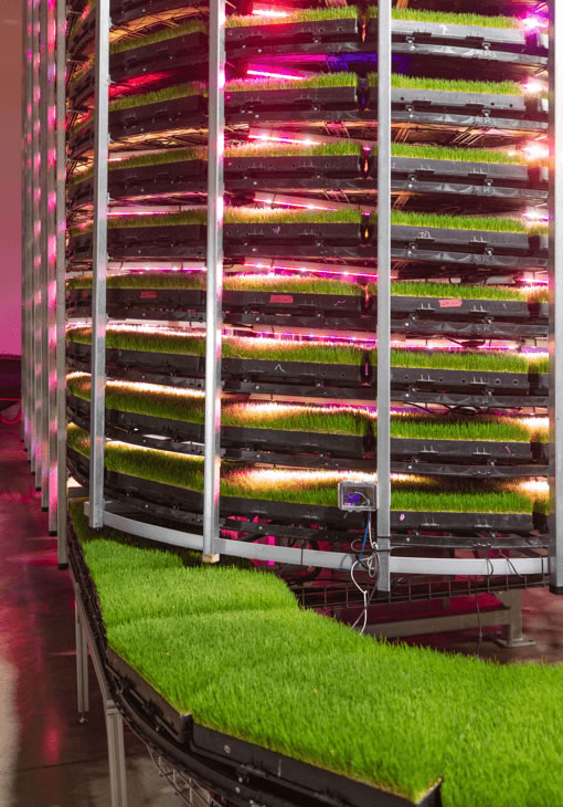 Grōv Technologies Announces World's Largest, Most Advanced Indoor Vertical  Farming System for Year-round Fresh Animal Feed | AgriTechTomorrow