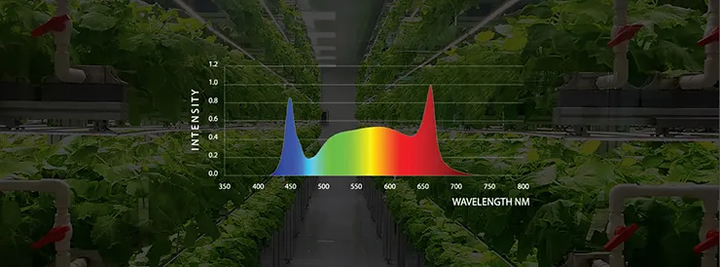 Full-spectrum lights mimic natural sunlight