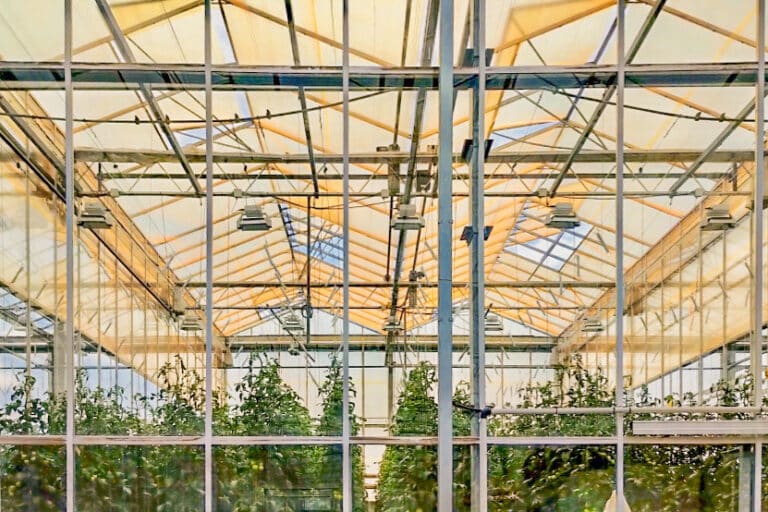 The Harsh Truth About LED Greenhouse Lighting