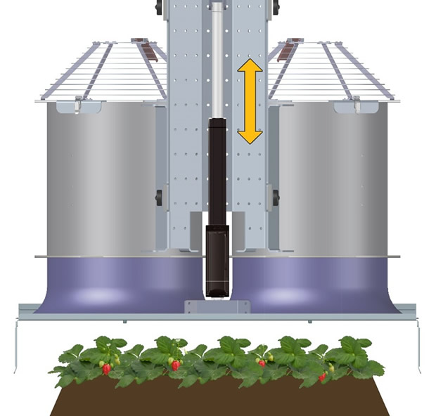 A close-up of a plantAI-generated content may be incorrect.