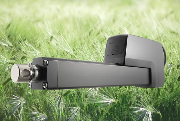 Ein Bild, das Gras, draußen, Pflanze, Spiegel enthält.Automatisch generierte Beschreibung